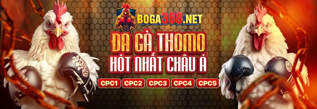 Hình ảnh chính Blog choang app
